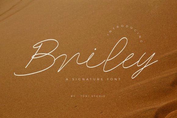 Briley: The Script Font That Elevates Your Brand’s Visual Story