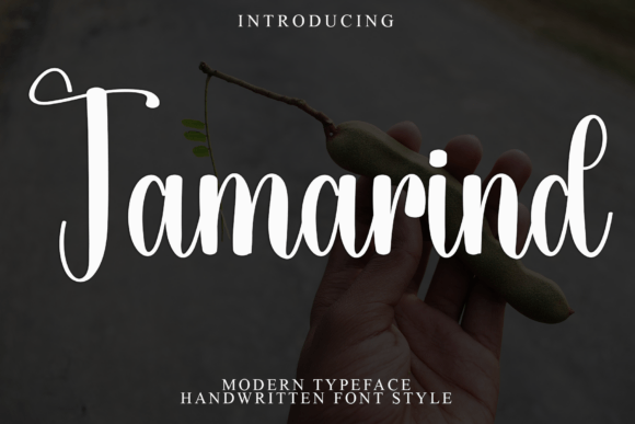 Font That Elevates Your Brand: Tamarind