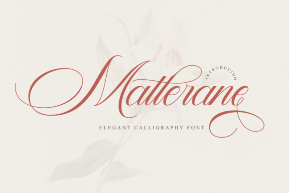 Matterane: A Script Font for Editorial Elegance
