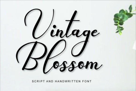 Vintage Blossom: A Font That Elevates Your Brand